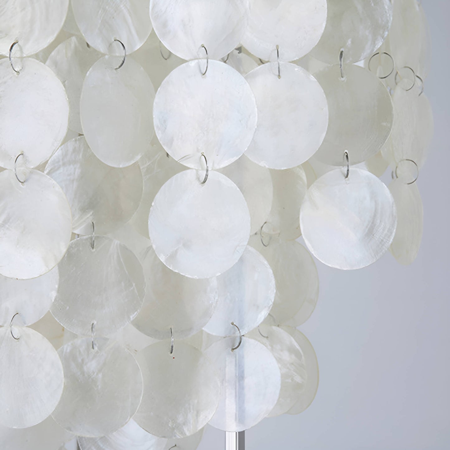 Doree | Modern Nordic Seashell Table Lamp